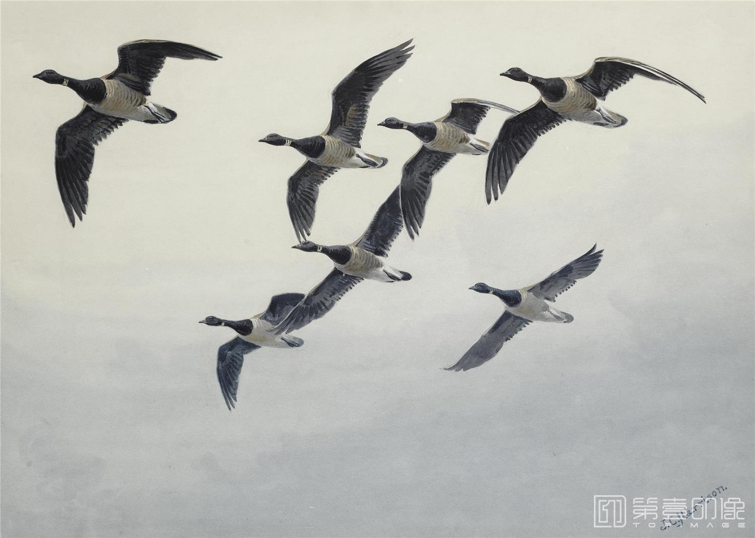 油画-约翰.赛里尔·哈里森 John Harrison作品集-047
